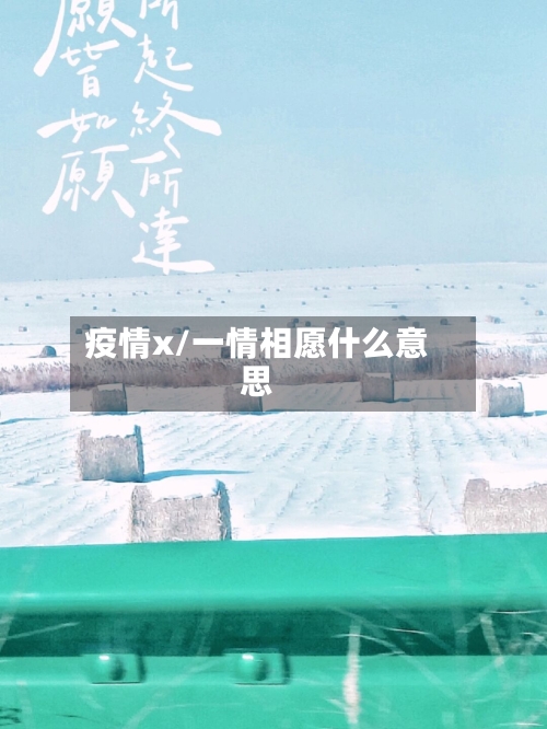 疫情x/一情相愿什么意思