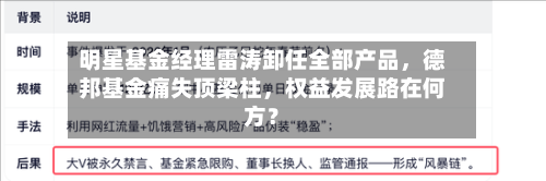 明星基金经理雷涛卸任全部产品，德邦基金痛失顶梁柱，权益发展路在何方？