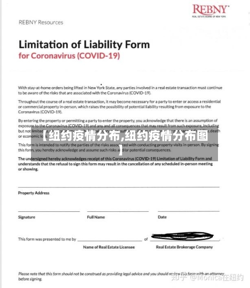 【纽约疫情分布,纽约疫情分布图】
