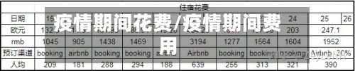 疫情期间花费/疫情期间费用