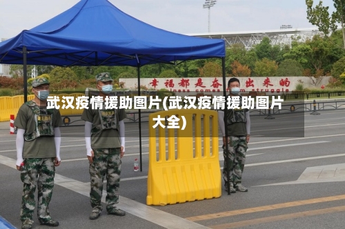 武汉疫情援助图片(武汉疫情援助图片大全)