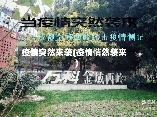 疫情突然来袭(疫情悄然袭来)