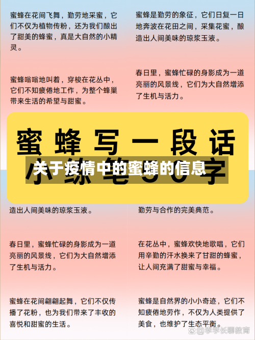 关于疫情中的蜜蜂的信息