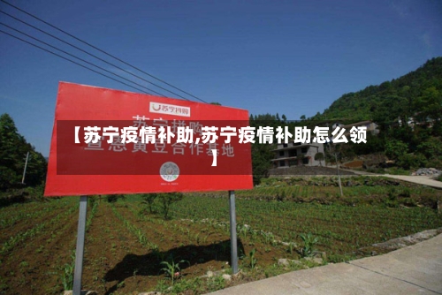 【苏宁疫情补助,苏宁疫情补助怎么领】