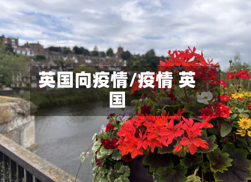 英国向疫情/疫情 英国