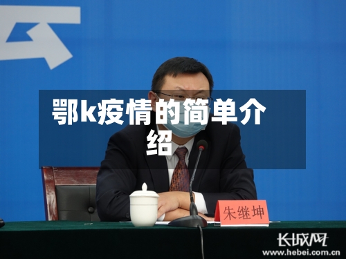 鄂k疫情的简单介绍