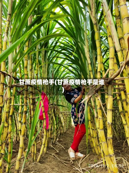 甘蔗疫情枪手(甘蔗疫情枪手是谁)
