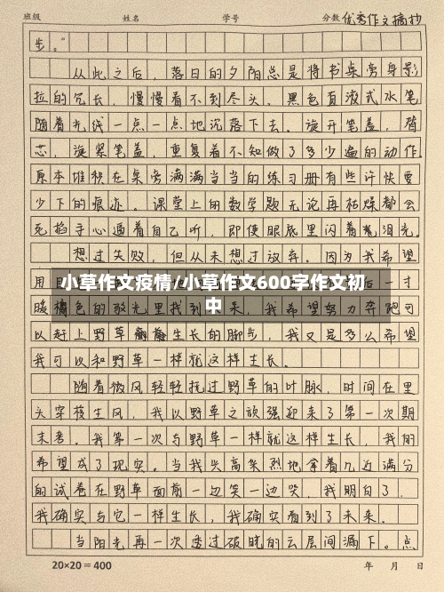 小草作文疫情/小草作文600字作文初中