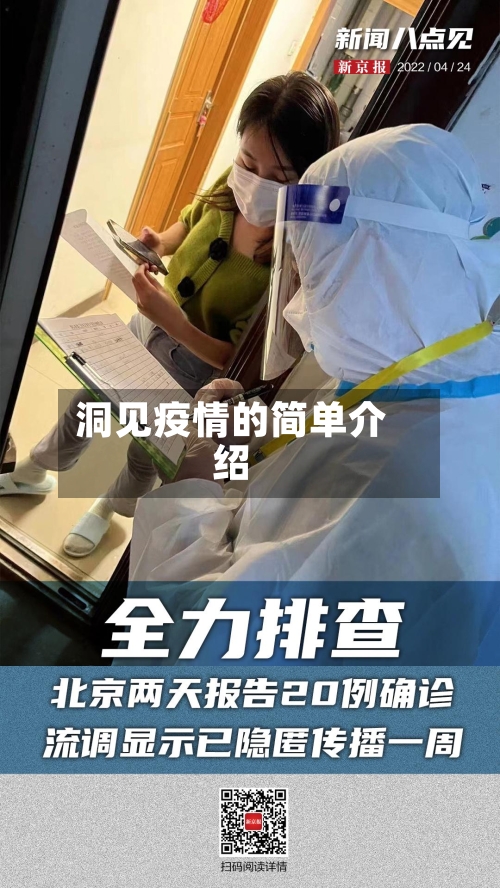 洞见疫情的简单介绍