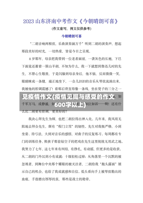 见疫情作文(疫情见闻与感受的作文600字以上)