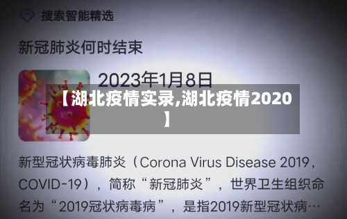 【湖北疫情实录,湖北疫情2020】