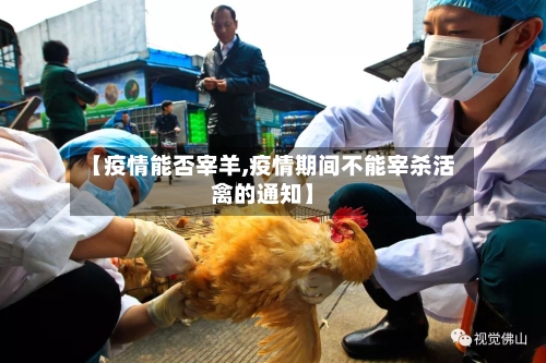 【疫情能否宰羊,疫情期间不能宰杀活禽的通知】