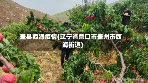盖县西海疫情(辽宁省营口市盖州市西海街道)