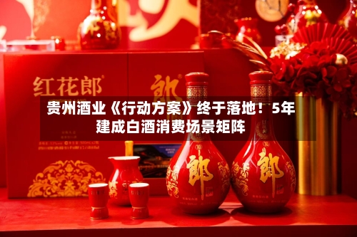 贵州酒业《行动方案》终于落地!5年建成白酒消费场景矩阵