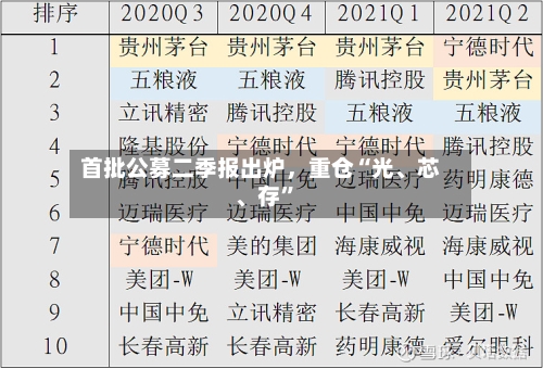 首批公募二季报出炉,重仓“光、芯、存”