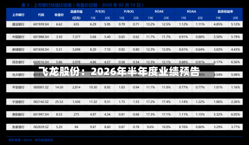 飞龙股份:2026年半年度业绩预告-第1张图片