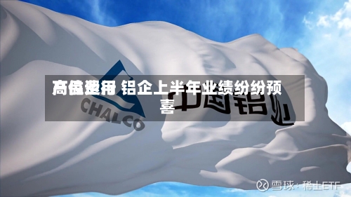 产品费用
高位运行 铝企上半年业绩纷纷预喜