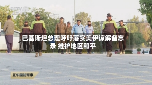 巴基斯坦总理呼吁落实美伊谅解备忘录 维护地区和平