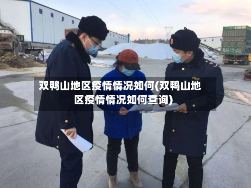 双鸭山地区疫情情况如何(双鸭山地区疫情情况如何查询)