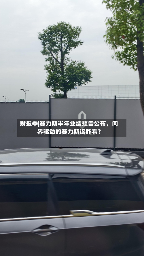 财报季|赛力斯半年业绩预告公布,问界驱动的赛力斯该咋看?