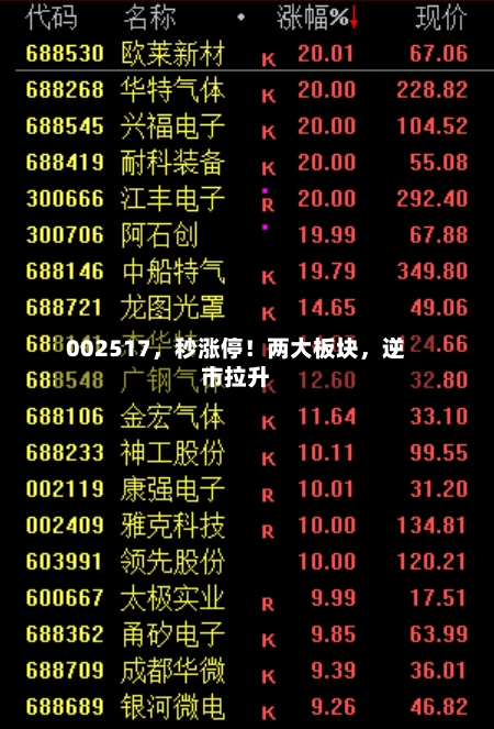 002517,秒涨停!两大板块,逆市拉升