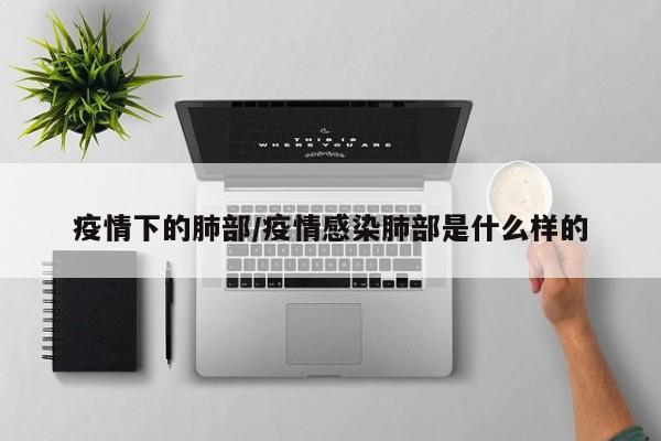 疫情下的肺部/疫情感染肺部是什么样的